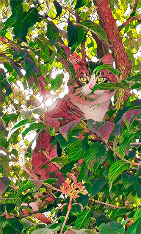 Spiderlodge August Newsletter, Music Lessons in Chilliwack